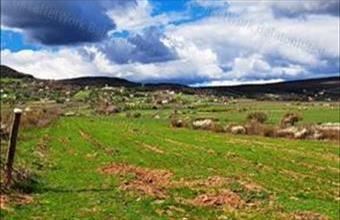 Eladó Zánkai egyéb mezőgazdasági ingatlan hirdetés (26879799) Eladó Zánkai egyéb mezőgazdasági ingatlan hirdetés (26879799)