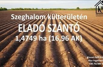 Eladó Szeghalomi termőföld, szántó hirdetés (79885325) Eladó Szeghalomi termőföld, szántó hirdetés (79885325)