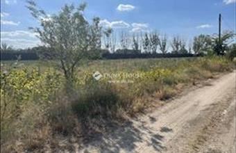 Eladó Szegedi termőföld, szántó hirdetés (37227739) Eladó Szegedi termőföld, szántó hirdetés (37227739)