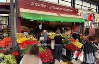 Kiadó Budapest XXI. kerületi üzlethelyiség üzletházban hirdetés (47991449) Kiadó Budapest XXI. kerületi üzlethelyiség üzletházban hirdetés (47991449)