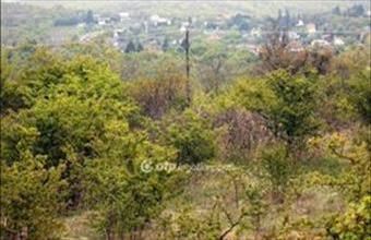 Eladó Szentendrei külterületi telek hirdetés (92748757) Eladó Szentendrei külterületi telek hirdetés (92748757)