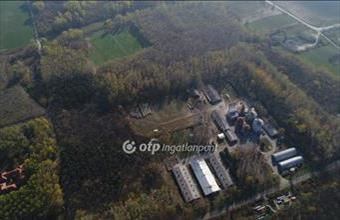 Eladó Dunavarsányi fejlesztési lakóterület hirdetés (39924675) Eladó Dunavarsányi fejlesztési lakóterület hirdetés (39924675)