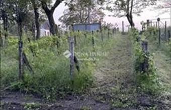 Eladó Mezőfalvai külterületi telek hirdetés (77493845) Eladó Mezőfalvai külterületi telek hirdetés (77493845)