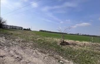 Eladó Délegyházai termőföld, szántó hirdetés (54793653) Eladó Délegyházai termőföld, szántó hirdetés (54793653)