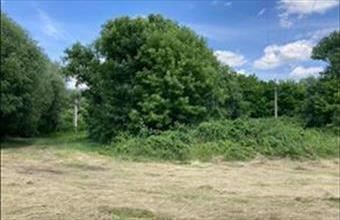 Eladó Zalaszentgróti termőföld, szántó hirdetés (44393377) Eladó Zalaszentgróti termőföld, szántó hirdetés (44393377)