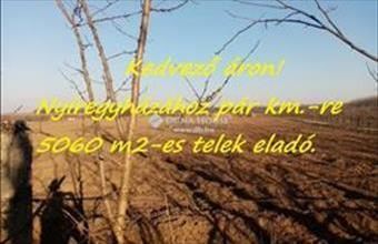 Eladó Nagyhalászi külterületi telek hirdetés (33955154) Eladó Nagyhalászi külterületi telek hirdetés (33955154)