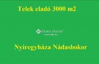 Eladó Nyíregyházai lakóövezeti telek hirdetés (26465595) Eladó Nyíregyházai lakóövezeti telek hirdetés (26465595)