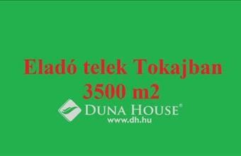 Eladó Tokaji külterületi telek hirdetés (62452346) Eladó Tokaji külterületi telek hirdetés (62452346)