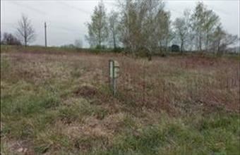 Eladó Balatonkeresztúri termőföld, szántó hirdetés (25274893) Eladó Balatonkeresztúri termőföld, szántó hirdetés (25274893)