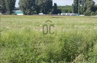 Eladó Felsőpakonyi termőföld, szántó hirdetés (53142534) Eladó Felsőpakonyi termőföld, szántó hirdetés (53142534)