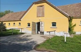 Eladó Környei termőföld, szántó hirdetés (63639434) Eladó Környei termőföld, szántó hirdetés (63639434)