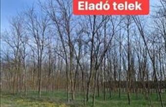 Eladó Kecskeméti egyéb telek hirdetés (16696436) Eladó Kecskeméti egyéb telek hirdetés (16696436)