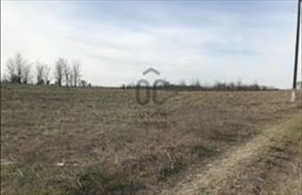 Eladó Tápióbicskei termőföld, szántó hirdetés (37616972) Eladó Tápióbicskei termőföld, szántó hirdetés (37616972)