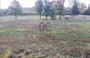 Kiadó Kővágószőlősi egyéb telek hirdetés (74391343) Kiadó Kővágószőlősi egyéb telek hirdetés (74391343)
