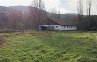 Eladó Budakeszi termőföld, szántó hirdetés (28394295) Eladó Budakeszi termőföld, szántó hirdetés (28394295)
