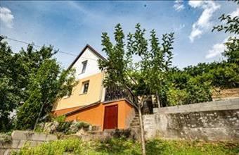 Eladó Szekszárdi termőföld, szántó hirdetés (34389397) Eladó Szekszárdi termőföld, szántó hirdetés (34389397)