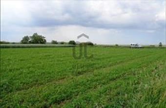 Eladó Úrhidai termőföld, szántó hirdetés (43399972) Eladó Úrhidai termőföld, szántó hirdetés (43399972)