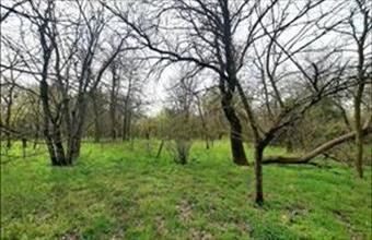 Eladó Csévharaszti külterületi telek hirdetés (38545844) Eladó Csévharaszti külterületi telek hirdetés (38545844)