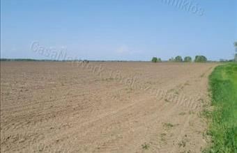 Eladó Tiszabői termőföld, szántó hirdetés (34274446) Eladó Tiszabői termőföld, szántó hirdetés (34274446)