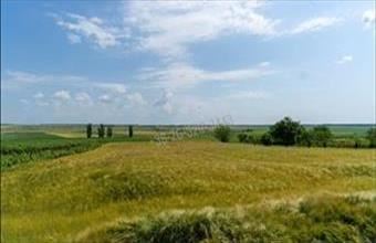 Eladó Pázmándi egyéb mezőgazdasági ingatlan hirdetés (95732729) Eladó Pázmándi egyéb mezőgazdasági ingatlan hirdetés (95732729)
