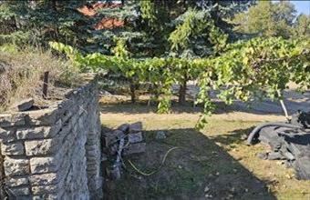 Eladó Tatai egyéb mezőgazdasági ingatlan hirdetés (89785835) Eladó Tatai egyéb mezőgazdasági ingatlan hirdetés (89785835)