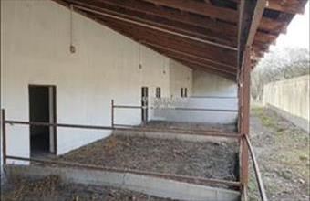 Eladó Ruzsai egyéb mezőgazdasági ingatlan hirdetés (93838722) Eladó Ruzsai egyéb mezőgazdasági ingatlan hirdetés (93838722)