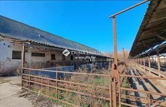 Eladó Hódmezővásárhelyi egyéb mezőgazdasági ingatlan hirdetés (37777723) Eladó Hódmezővásárhelyi egyéb mezőgazdasági ingatlan hirdetés (37777723)