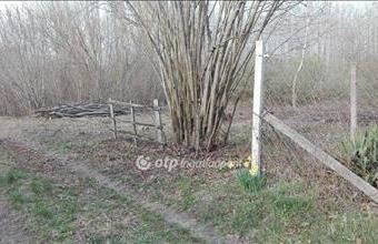 Eladó Ráckevei üdülőövezeti telek hirdetés (99855996) Eladó Ráckevei üdülőövezeti telek hirdetés (99855996)