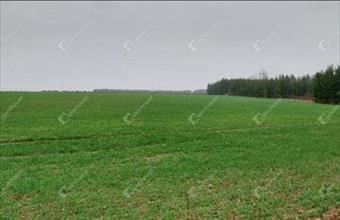 Eladó Hegyhátszentjakabi lakóövezeti telek hirdetés (53773649) Eladó Hegyhátszentjakabi lakóövezeti telek hirdetés (53773649)
