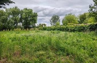 Eladó Szolnoki egyéb mezőgazdasági ingatlan hirdetés (25792438) Eladó Szolnoki egyéb mezőgazdasági ingatlan hirdetés (25792438)