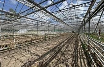 Eladó Balástyai egyéb mezőgazdasági ingatlan hirdetés (35587296) Eladó Balástyai egyéb mezőgazdasági ingatlan hirdetés (35587296)