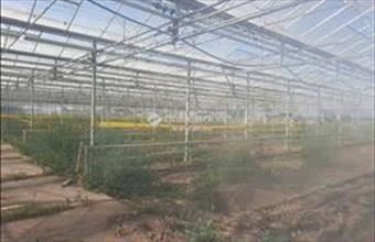 Eladó Balástyai egyéb mezőgazdasági ingatlan hirdetés (59344816) Eladó Balástyai egyéb mezőgazdasági ingatlan hirdetés (59344816)
