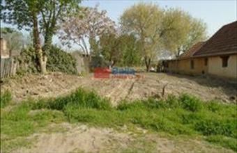 Eladó Tiszakécskei egyéb telek hirdetés (53976332) Eladó Tiszakécskei egyéb telek hirdetés (53976332)