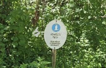 Eladó Vízvári hétvégi ház hirdetés (66759167) Eladó Vízvári hétvégi ház hirdetés (66759167)