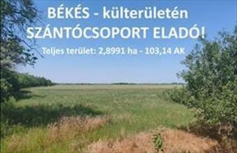 Eladó Békési termőföld, szántó hirdetés (76552967) Eladó Békési termőföld, szántó hirdetés (76552967)