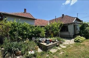 Eladó Mezőkovácsházai családi ház hirdetés (59899695) Eladó Mezőkovácsházai családi ház hirdetés (59899695)