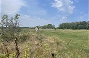 Eladó Szabadszállási termőföld, szántó hirdetés (29524223) Eladó Szabadszállási termőföld, szántó hirdetés (29524223)