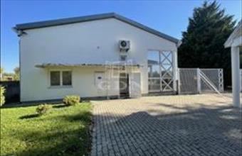 Kiadó Székesfehérvári egyéb iroda hirdetés (87619534) Kiadó Székesfehérvári egyéb iroda hirdetés (87619534)