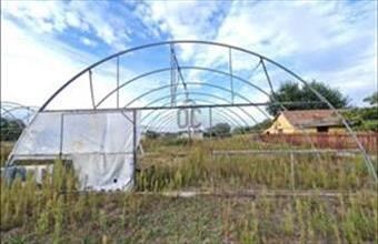 Eladó Ceglédi termőföld, szántó hirdetés (33268639) Eladó Ceglédi termőföld, szántó hirdetés (33268639)